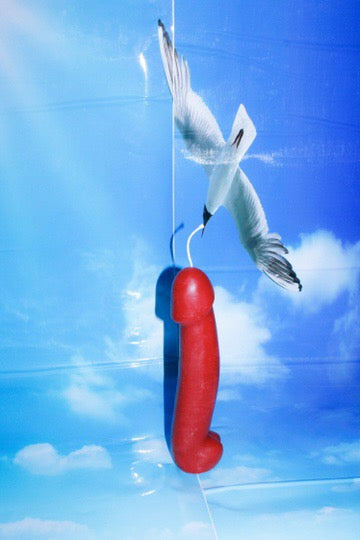 9 Inch Penis Candle