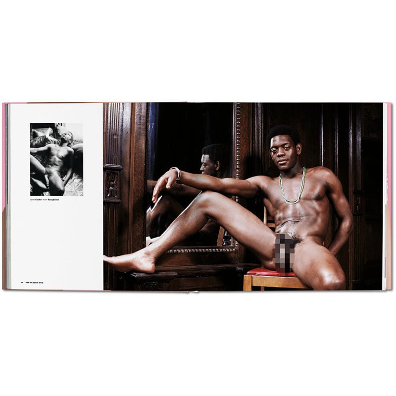 The Big Penis Book