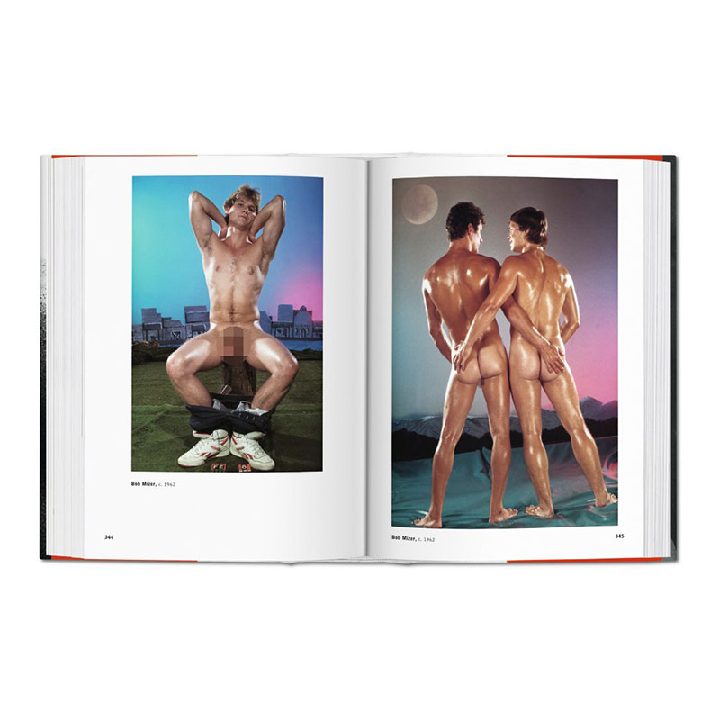 The Male Nude