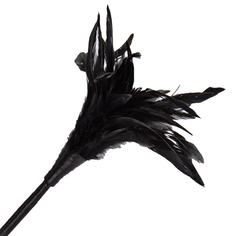 Feather Tickler
